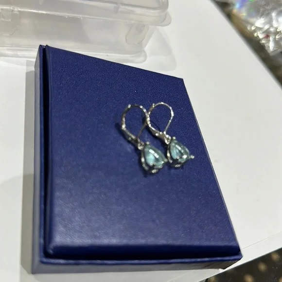 Drop Earring - Picture 6 of 10